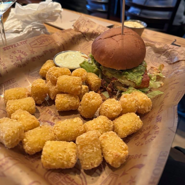 image of Texas Longhorn