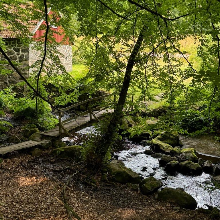 image of Sträntemölla