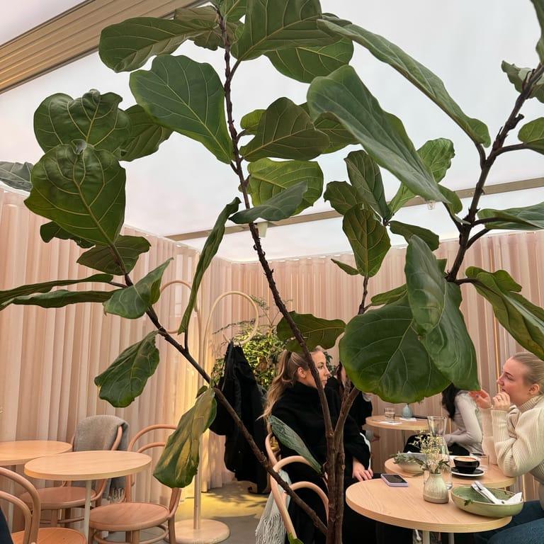 image of OMA Stockholm Kungsträdgården