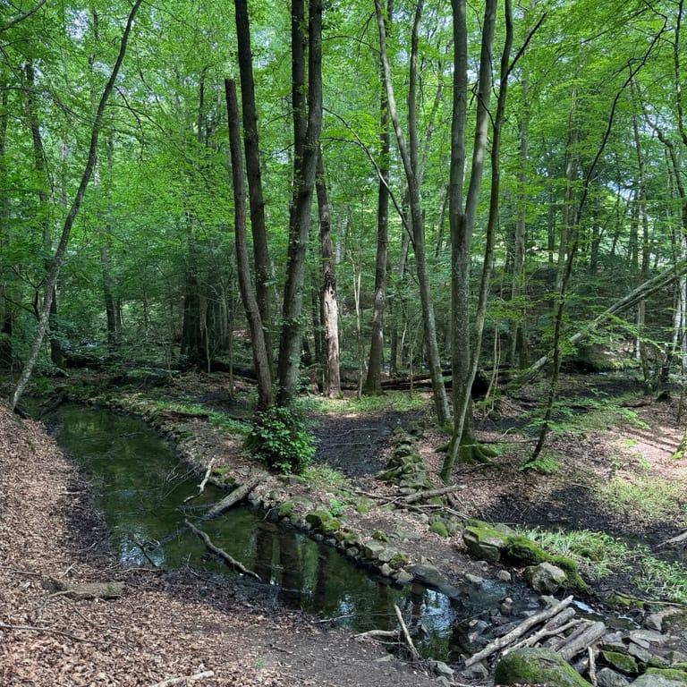 image of Sträntemölla