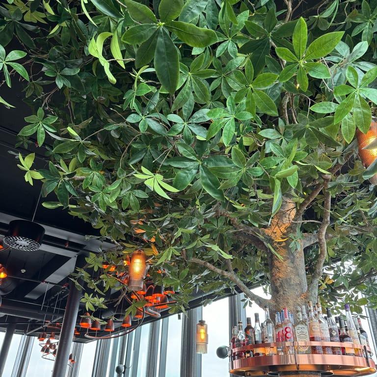 image of 3Sixty Skybar