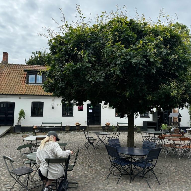 image of Olof Viktors