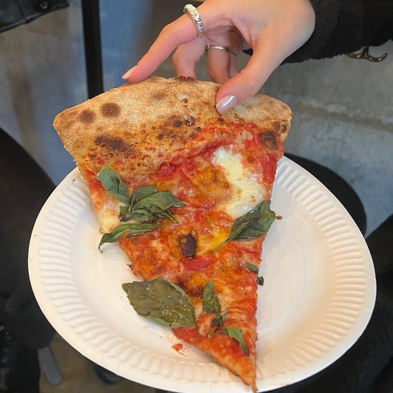 image of 800 Grader Slice Shop