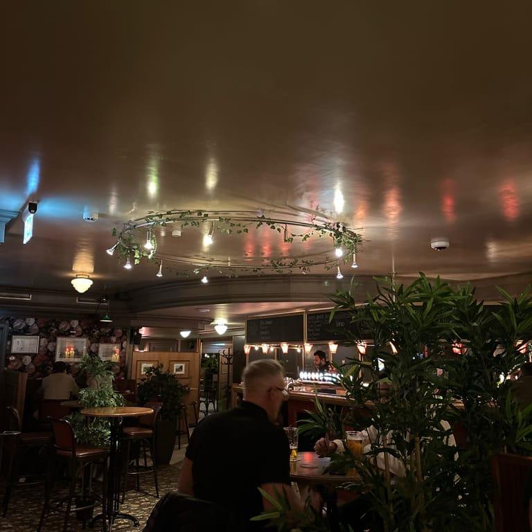 image of The King's Fox