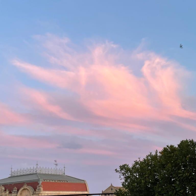 image of Singular Rooftop Terrace