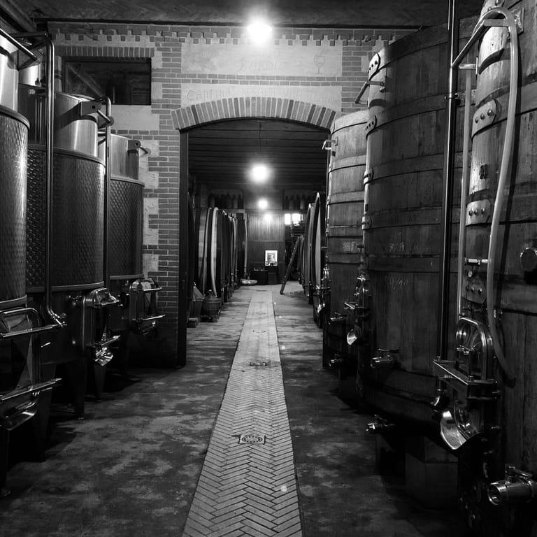 image of Azienda Agricola Giuseppe Rinaldi