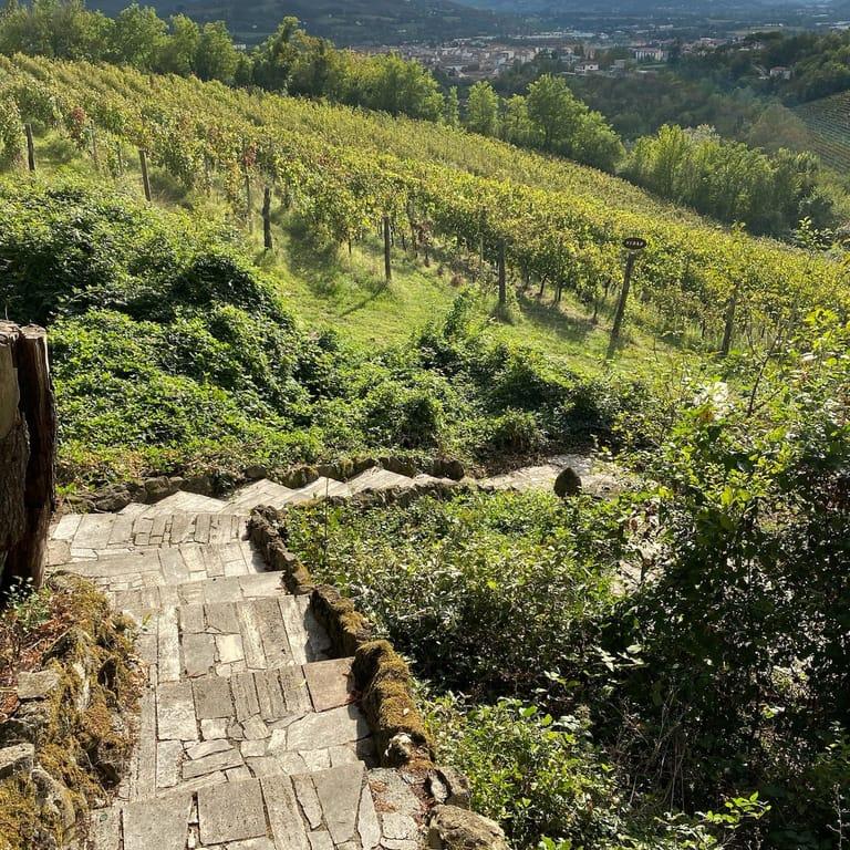 image of Agriturismo Podere Tonette