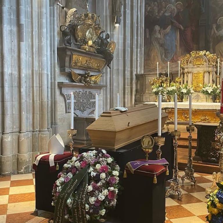 image of St. Stephen's Cathedral