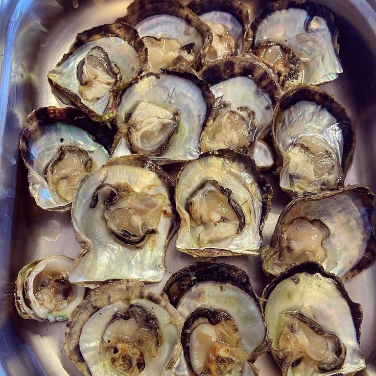 image of Orfoz Restaurant Bodrum