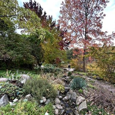 image of Botanical Garden
