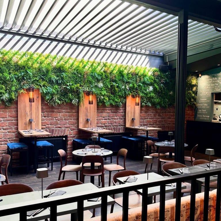 image of SILK - Pan-Asian Fusion and Izakaya, Split