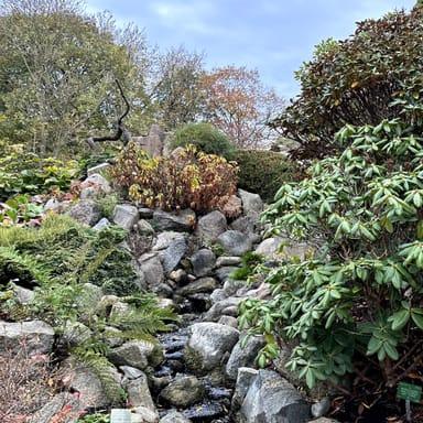 image of Botanical Garden