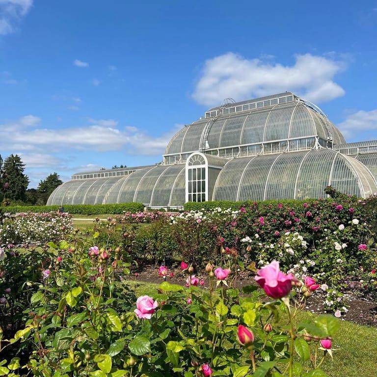 image of Royal Botanic Gardens, Kew