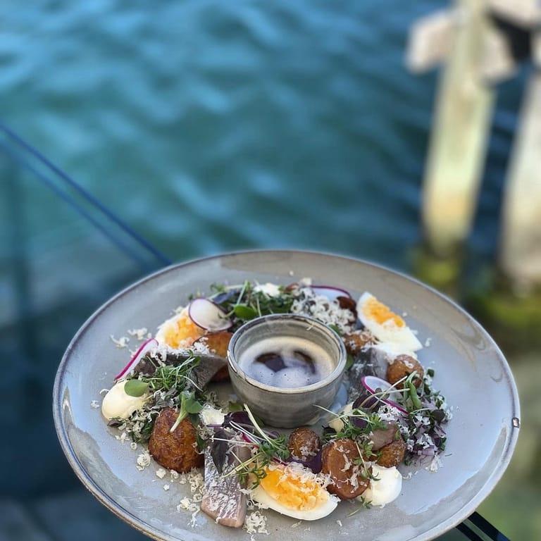 image of Hummerkrogen