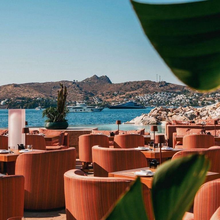 image of Zuma Bodrum