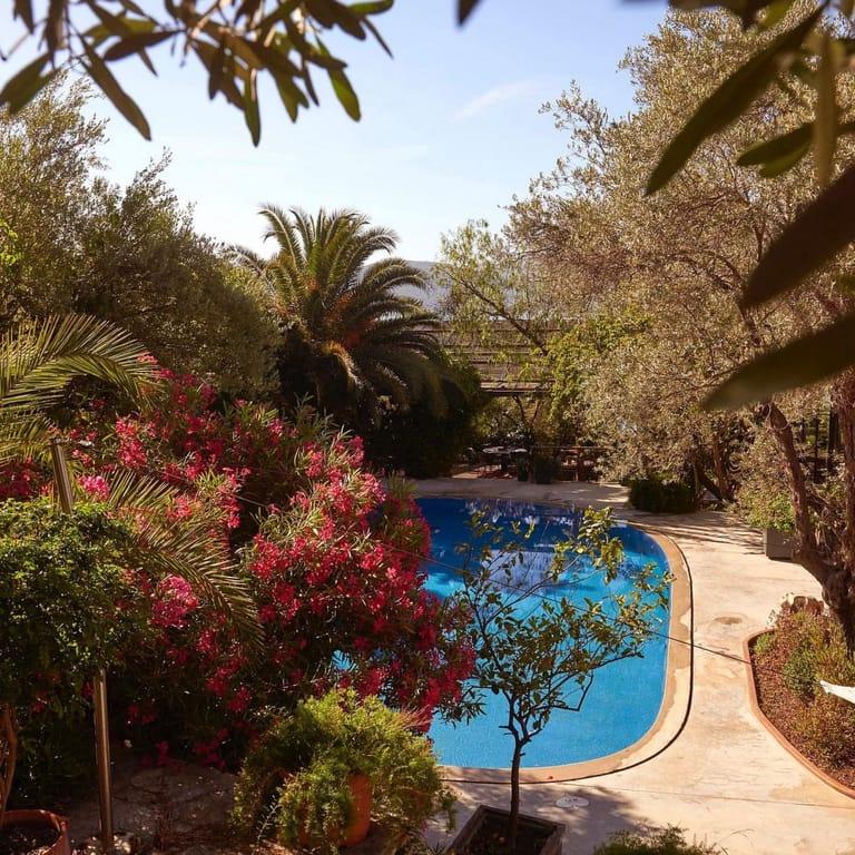 image of MACAKIZI BODRUM