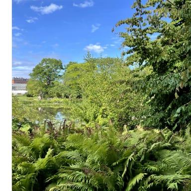 image of Botanical Garden