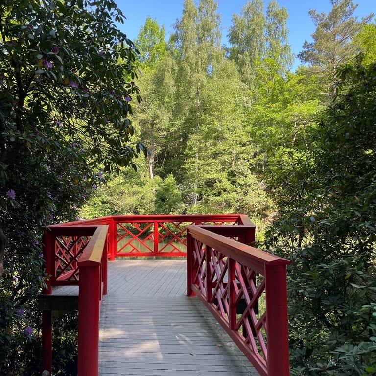 image of Slottsskogen