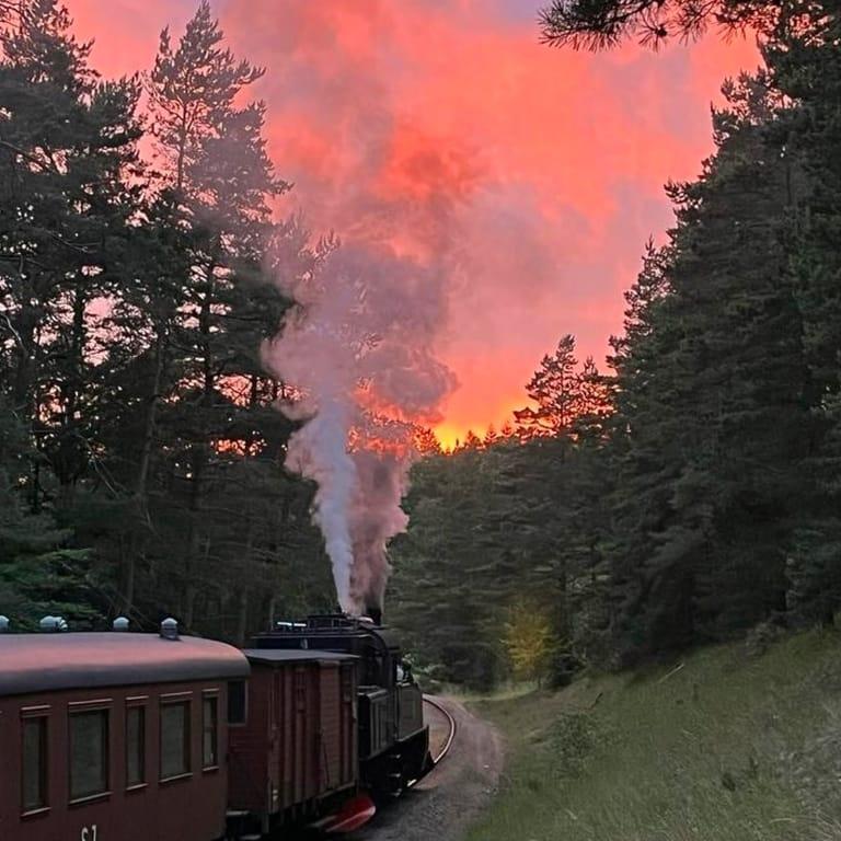 image of Steam train Österlen-museum railway
