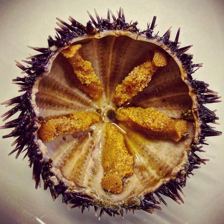 image of Orfoz Restaurant Bodrum