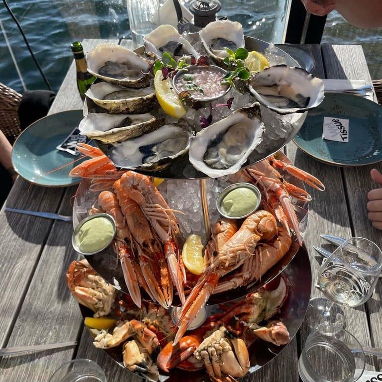 image of Hummerkrogen