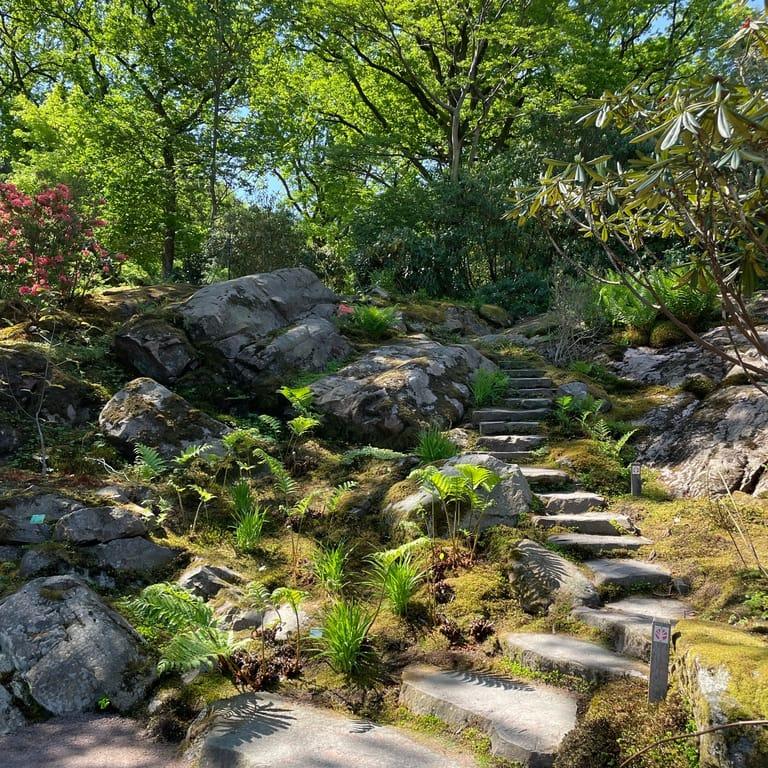 image of Gothenburg Botanical Garden