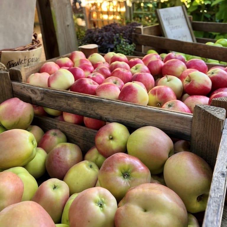 Image of the location Kivik Cider factory