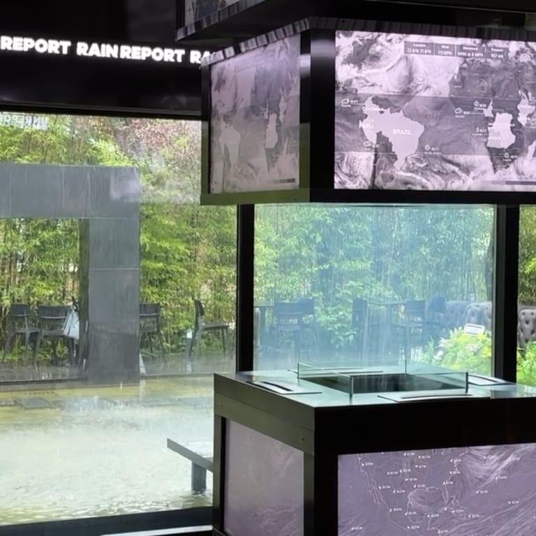 image of Rain Report