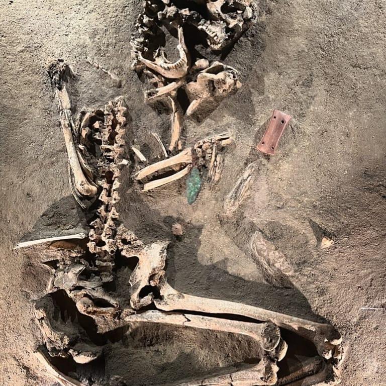 image of Archaeological Museum of Alicante