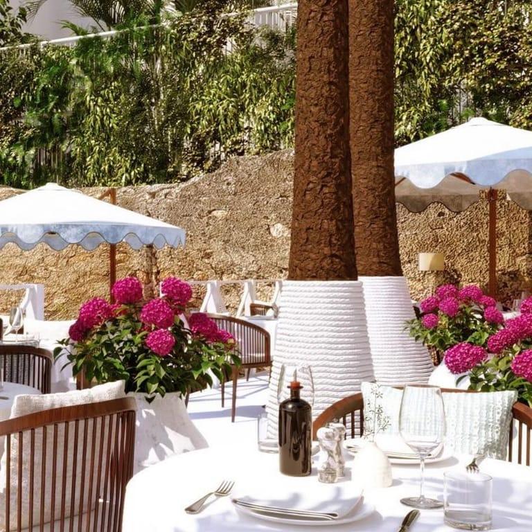 image of GAIA Marbella