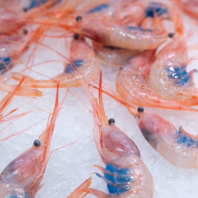 image of Mercat Central de València