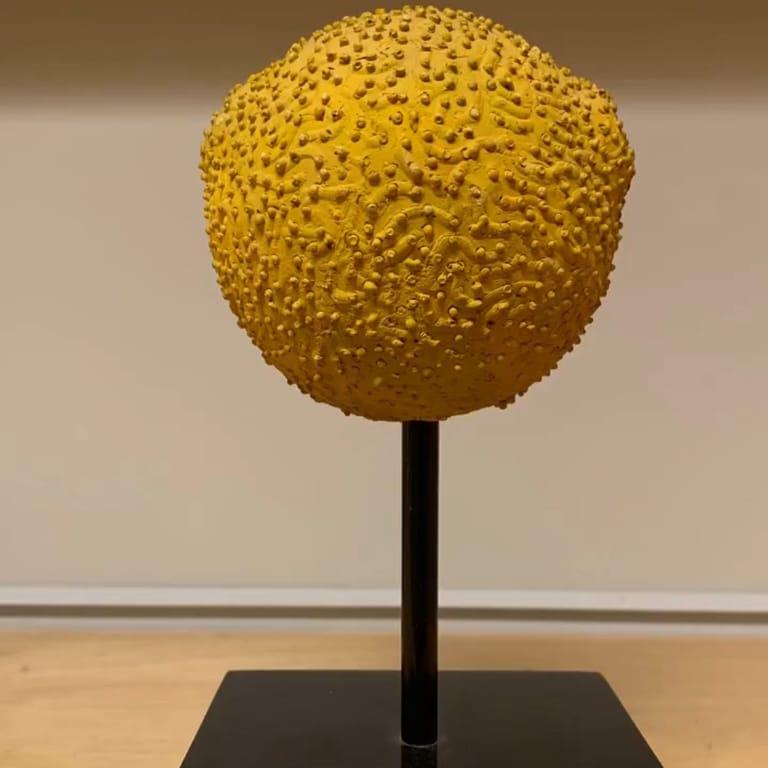 image of Museum of Natural History