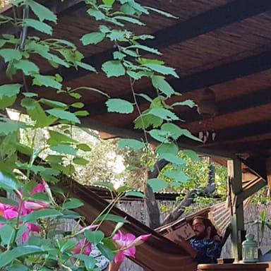 image of SHANTEE HOUSE