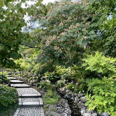 image of Botanical Garden