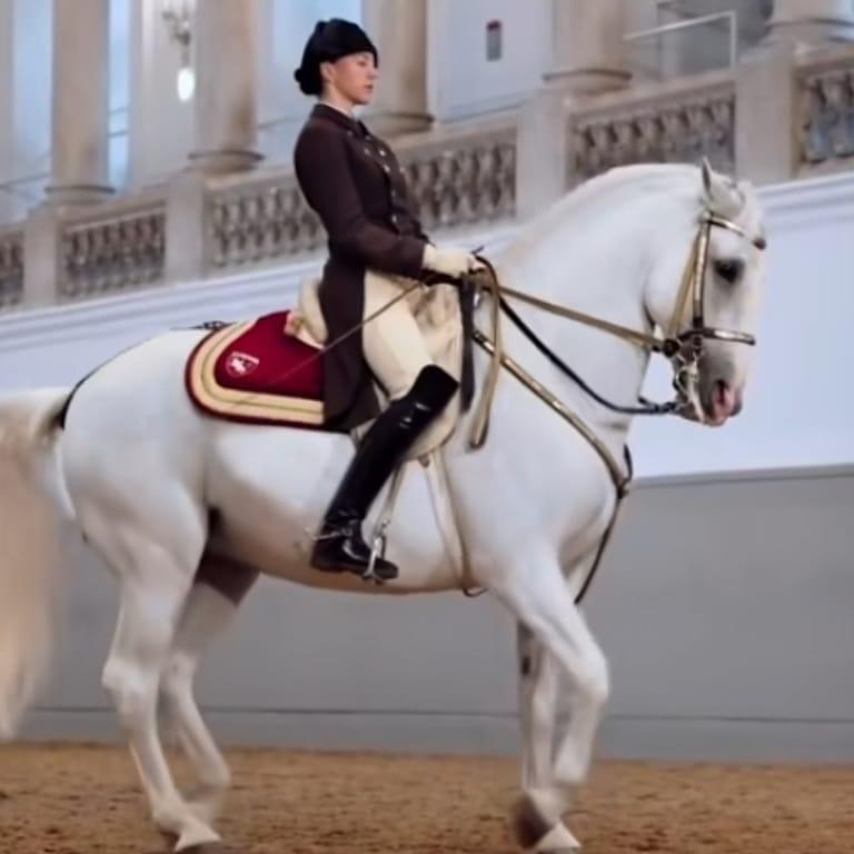 image of Spanish Riding School