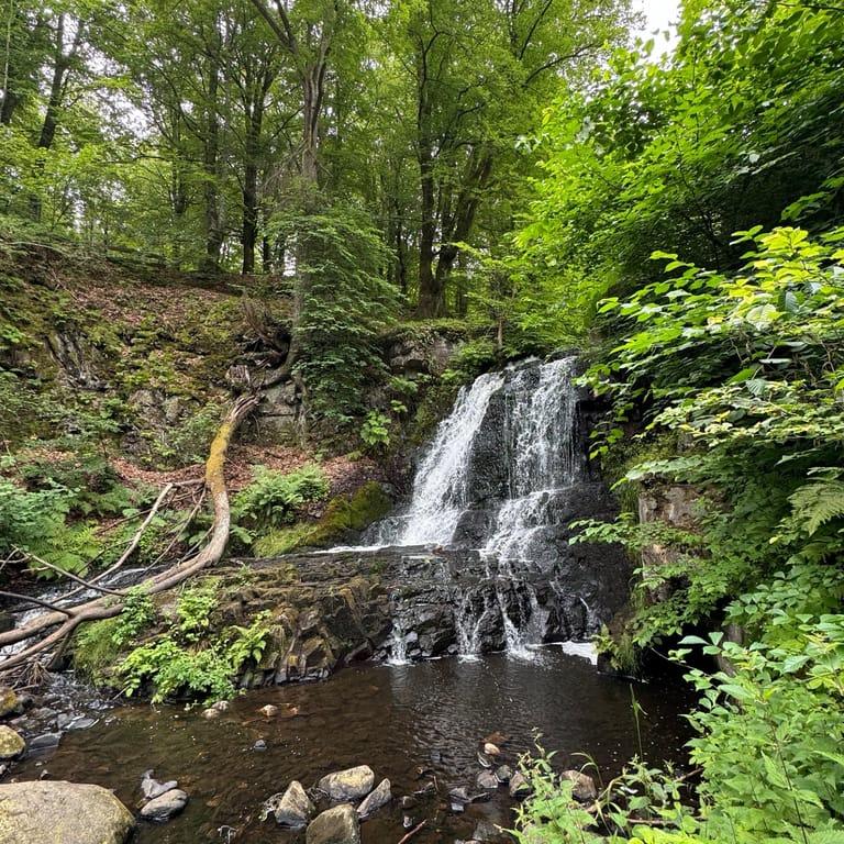 image of Sträntemölla