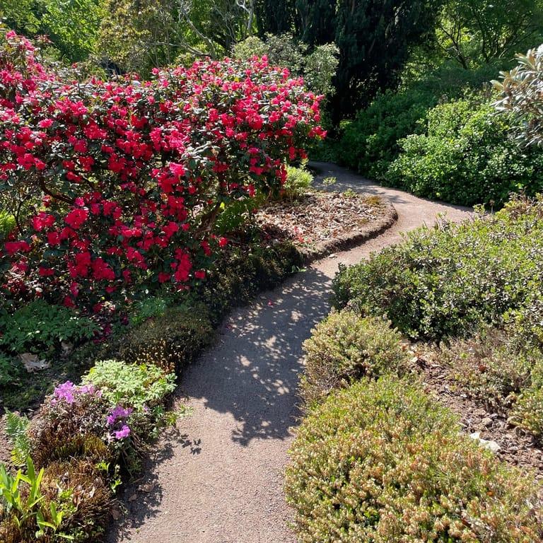 image of Gothenburg Botanical Garden