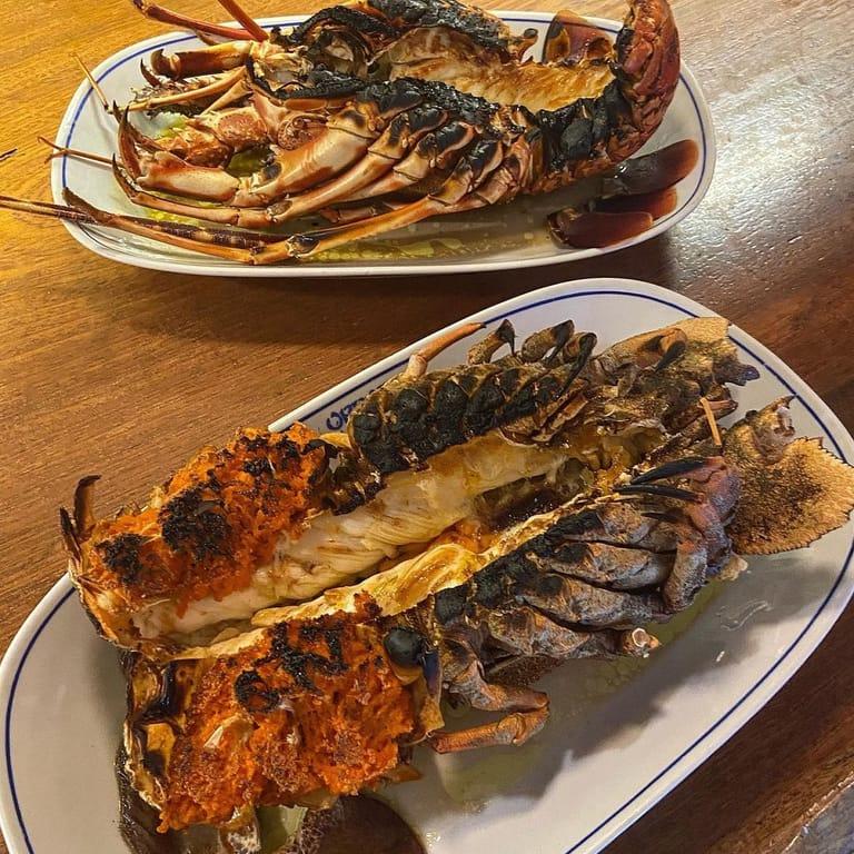 Orfoz Restaurant Bodrum