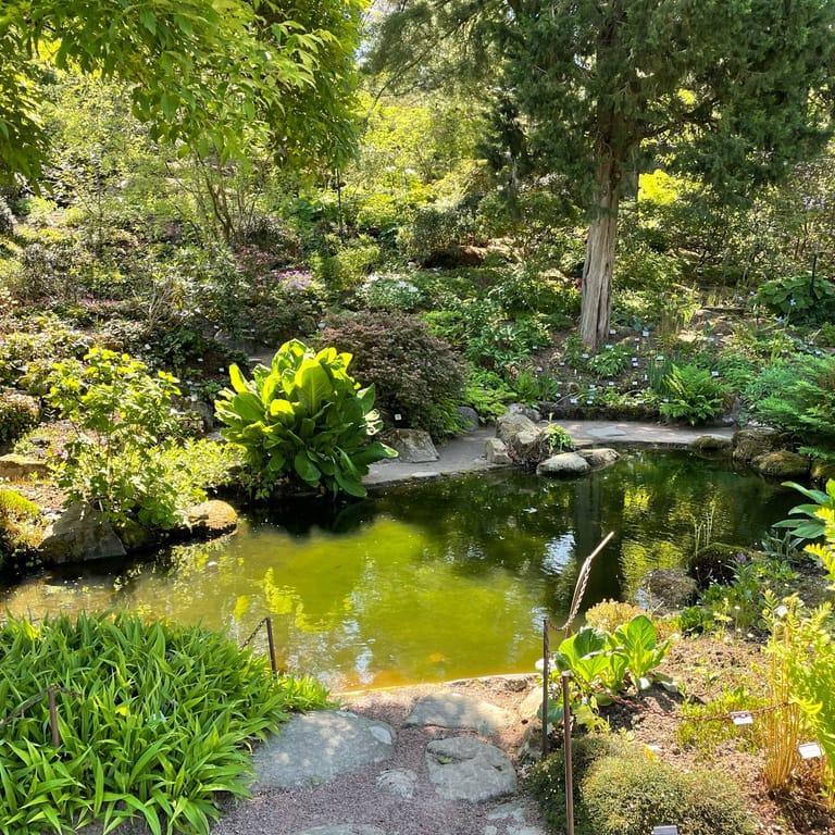 image of Gothenburg Botanical Garden