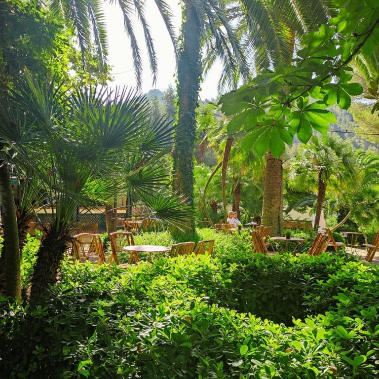 image of Jardins d'Alfàbia