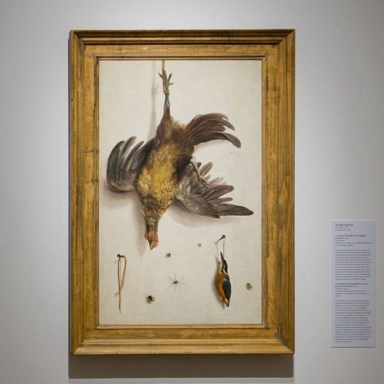 image of Norton Museum of Art