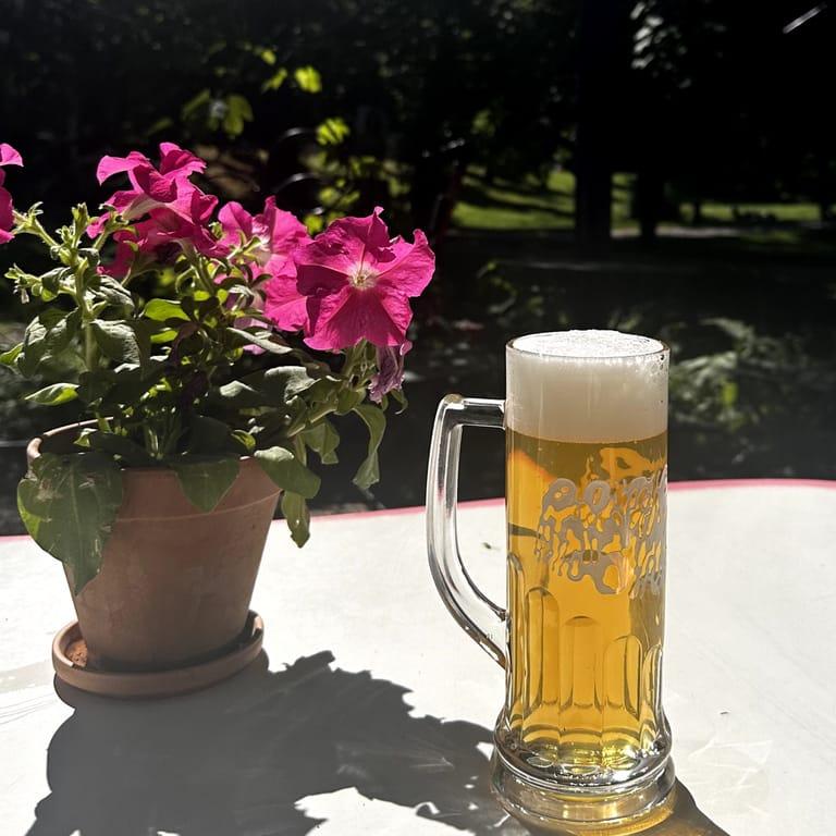 image of Omnipollos Flora