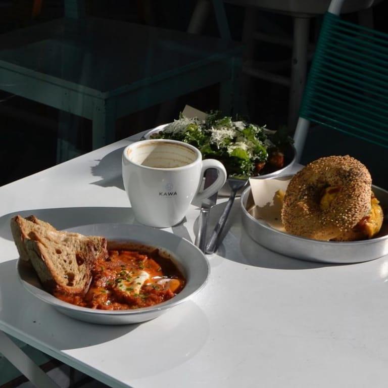 image of Hippy Hippo