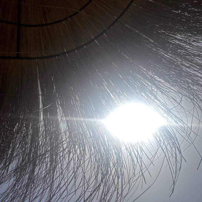 image of The Beach House