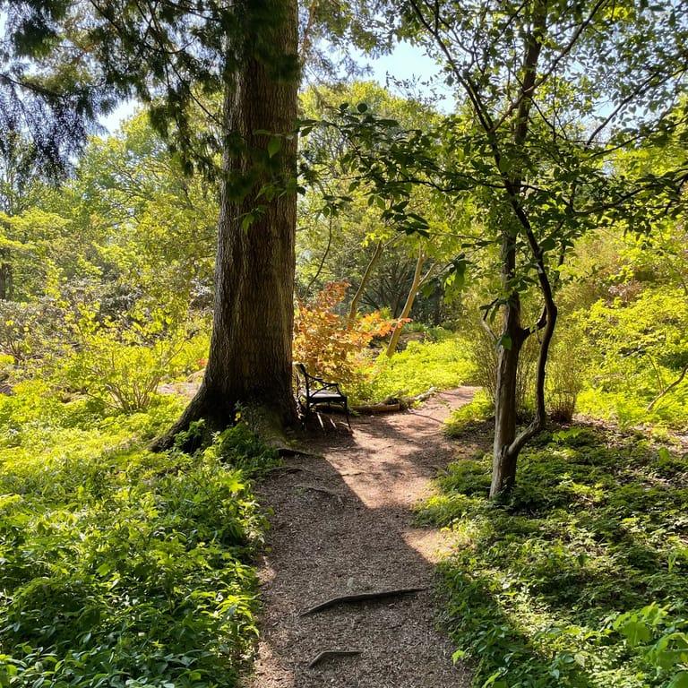 image of Gothenburg Botanical Garden