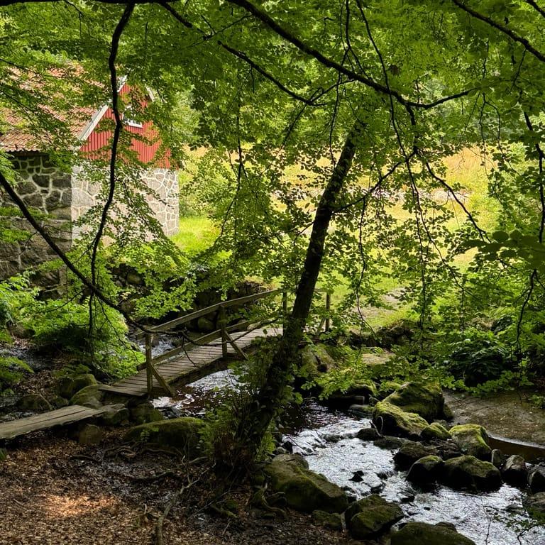 image of Sträntemölla