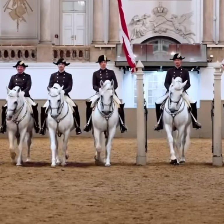 Spanish Riding School