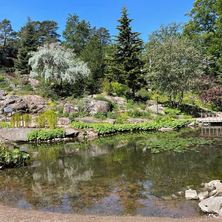 image of Gothenburg Botanical Garden