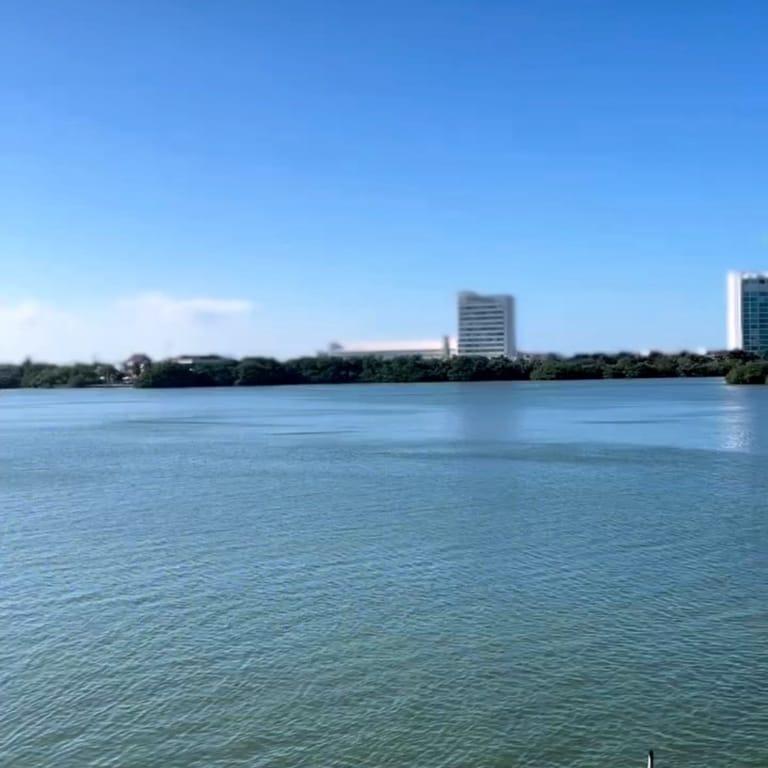 image of Mayan Monkey | Best Hotel in Cancun