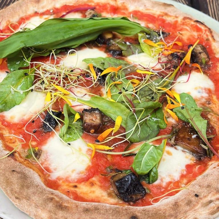 image of Omnipollos hatt